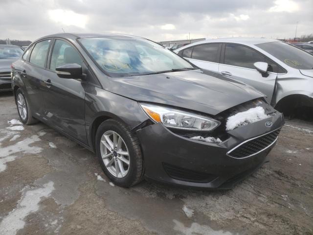 FORD FOCUS SE 2015 1fadp3f28fl261381