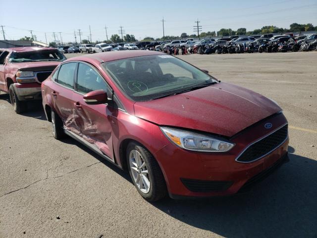 FORD FOCUS SE 2015 1fadp3f28fl318811