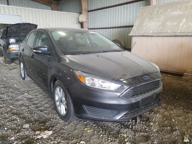 FORD FOCUS SE 2016 1fadp3f28gl376631