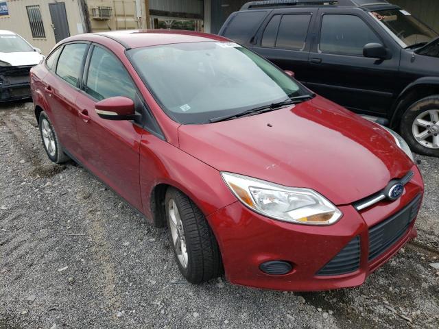 FORD FOCUS SE 2013 1fadp3f29dl330771