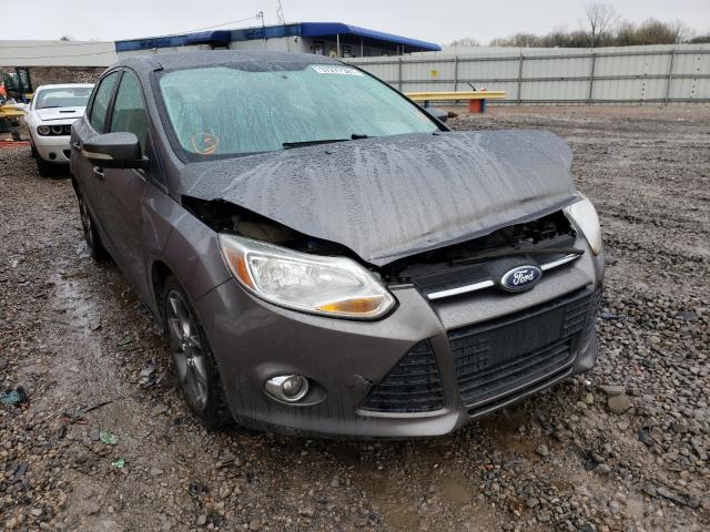 FORD FOCUS SE 2013 1fadp3f29dl375080