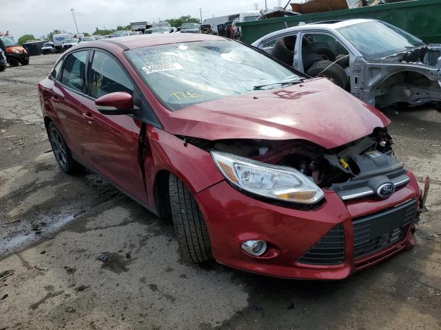 FORD FOCUS SE 2014 1fadp3f29el143242