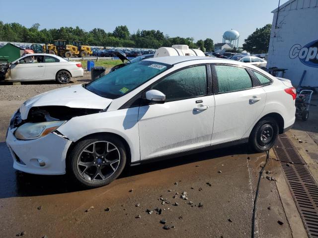 FORD FOCUS SE 2014 1fadp3f29el164687