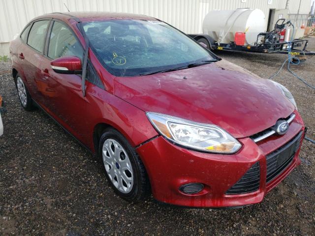 FORD FOCUS SE 2014 1fadp3f29el220448