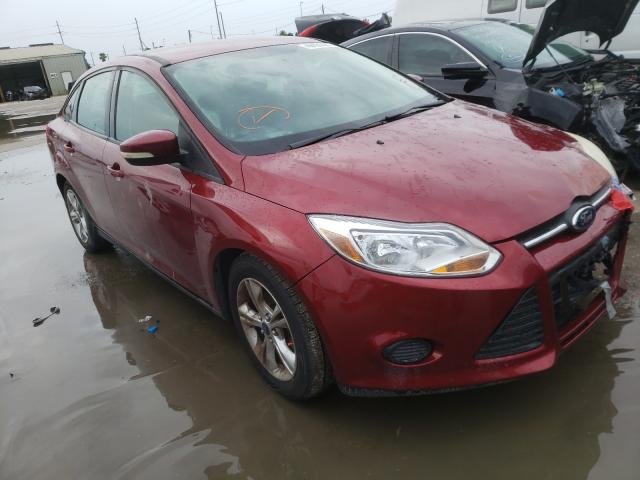 FORD FOCUS SE 2014 1fadp3f29el251988