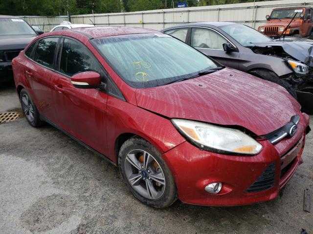 FORD FOCUS SE 2014 1fadp3f29el279743