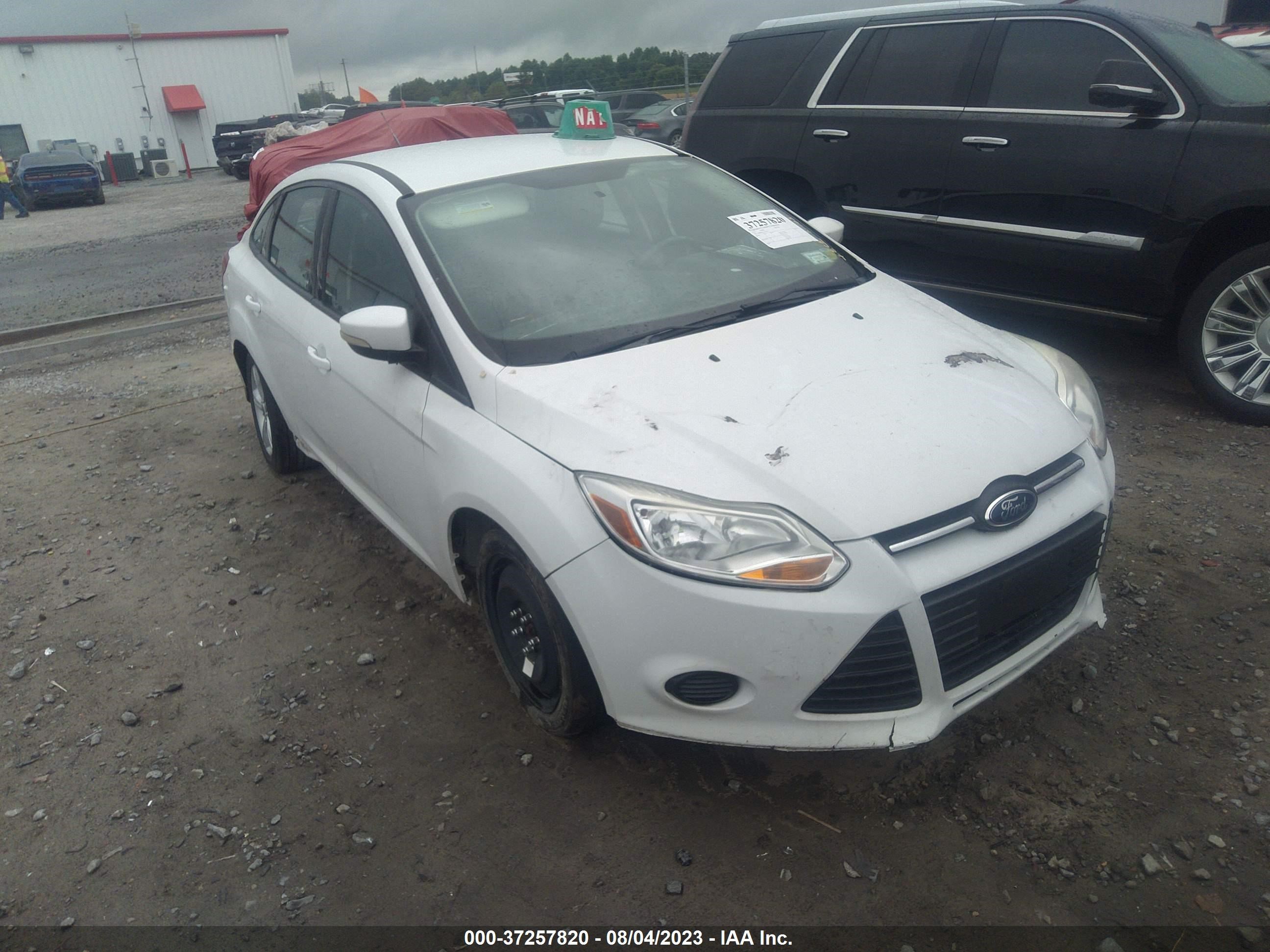 FORD FOCUS 2014 1fadp3f29el297014