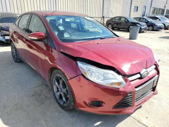 FORD FOCUS SE 2014 1fadp3f29el304978