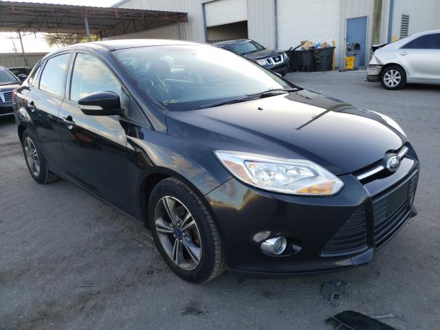 FORD FOCUS SE 2014 1fadp3f29el319853