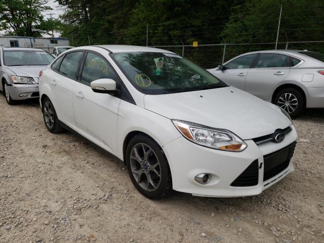 FORD FOCUS SE 2014 1fadp3f29el388817