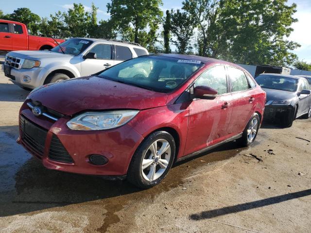 FORD FOCUS SE 2014 1fadp3f29el431021