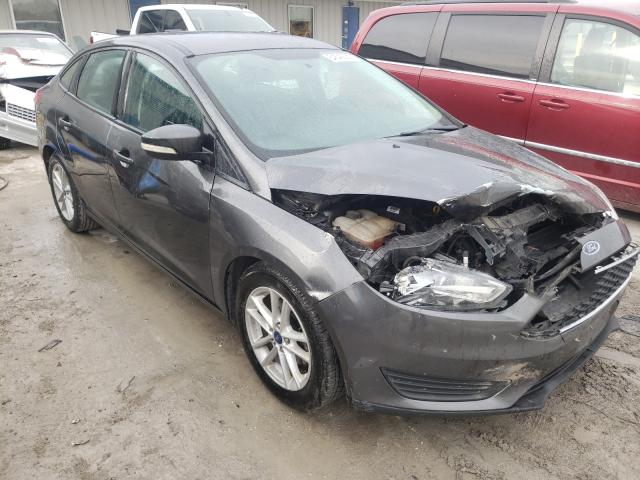 FORD FOCUS SE 2015 1fadp3f29fl218300