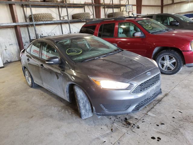 FORD FOCUS SE 2015 1fadp3f29fl239339