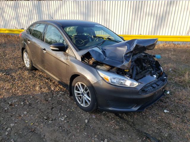 FORD FOCUS SE 2015 1fadp3f29fl296012