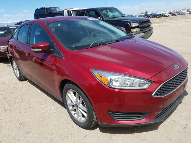 FORD FOCUS SE 2016 1fadp3f29gl331505