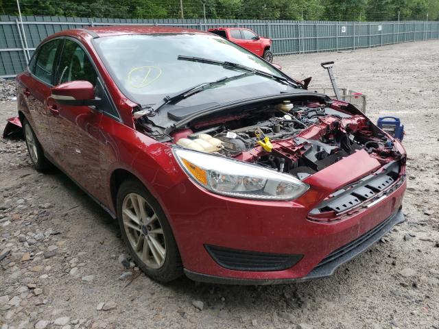 FORD FOCUS SE 2017 1fadp3f29hl227436