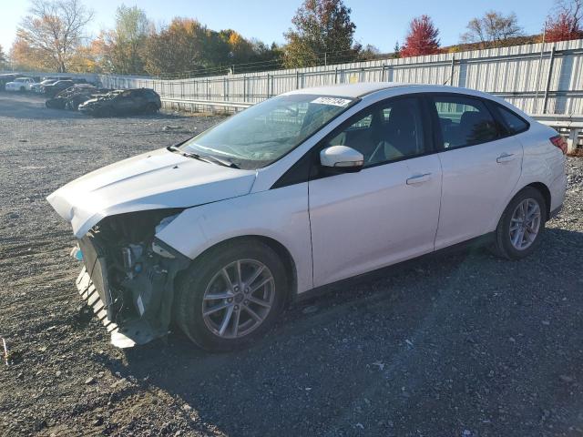 FORD FOCUS SE 2017 1fadp3f29hl336222