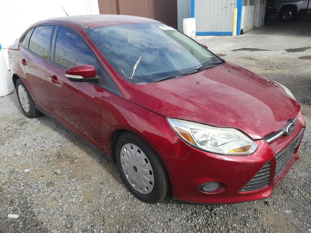 FORD FOCUS SE 2013 1fadp3f2xdl235071