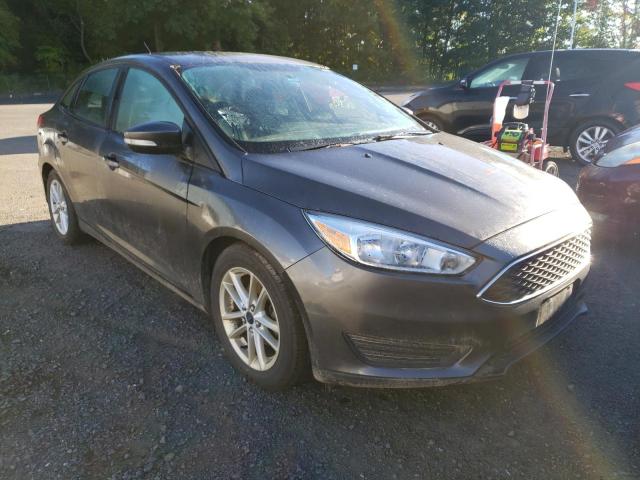 FORD FOCUS SE 2015 1fadp3f2xfl246512