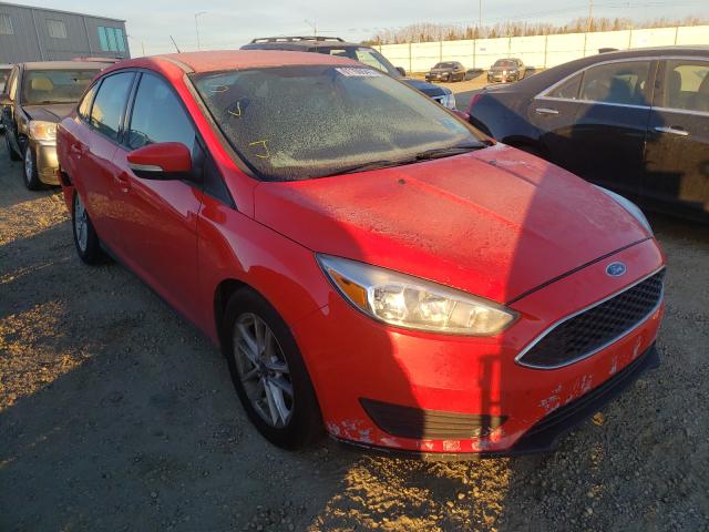 FORD FOCUS SE 2015 1fadp3f2xfl257946