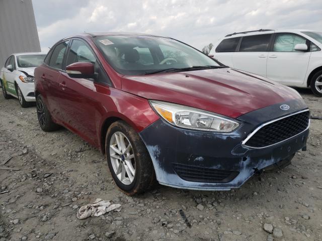 FORD FOCUS SE 2016 1fadp3f2xgl304569