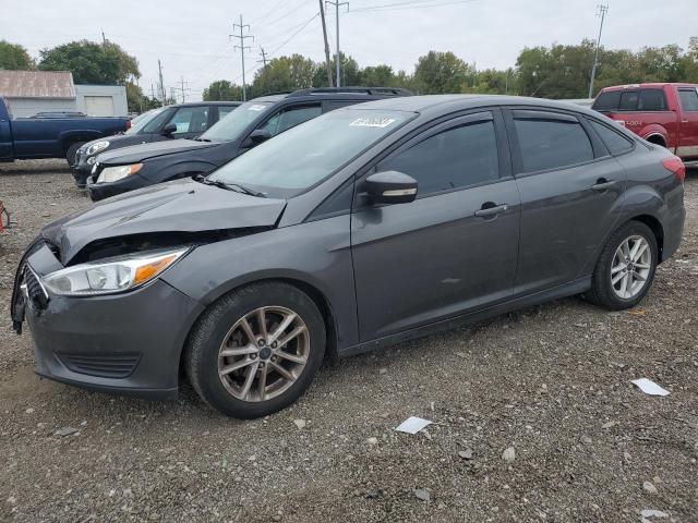 FORD FOCUS SE 2016 1fadp3f2xgl314471