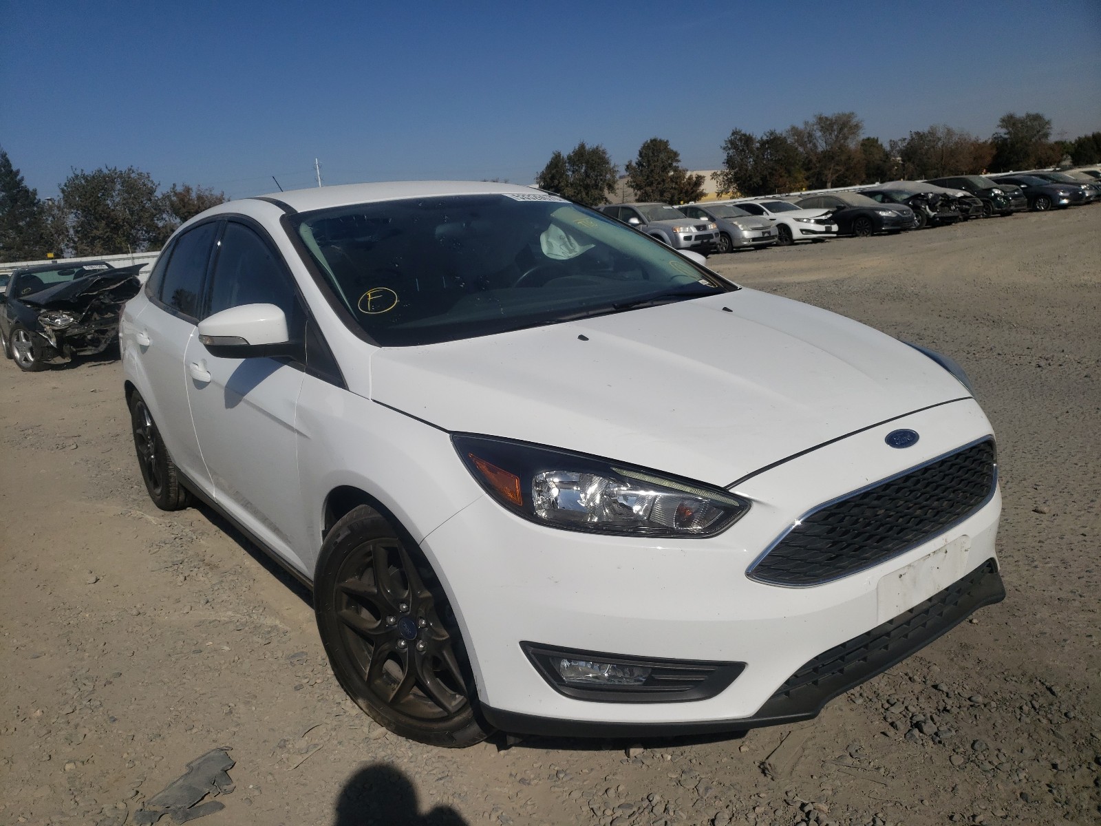 FORD FOCUS SE 2016 1fadp3f2xgl331481