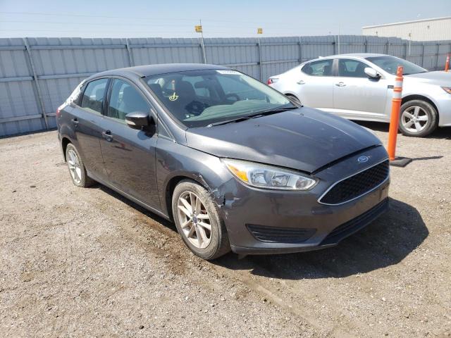 FORD FOCUS SE 2016 1fadp3f2xgl335921