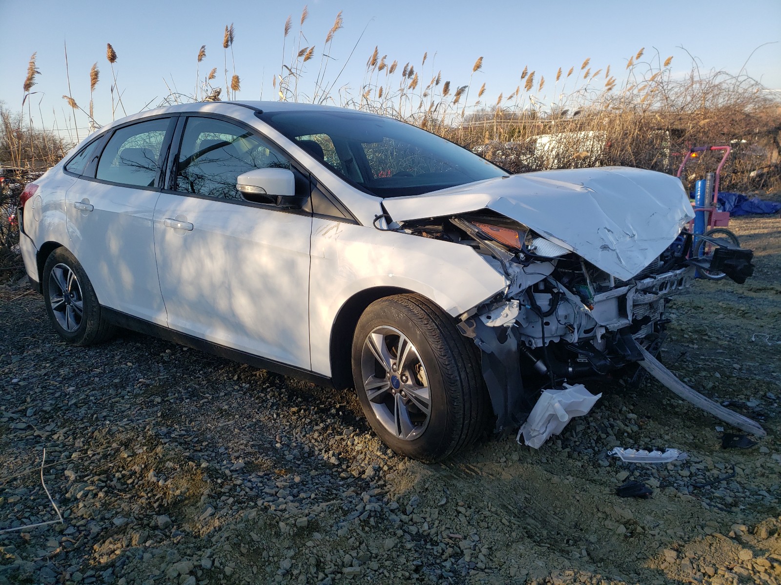 FORD FOCUS 2017 1fadp3fe1hl312118