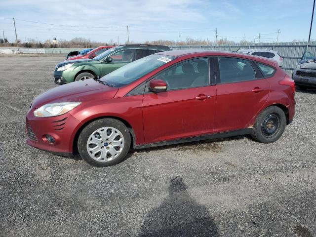 FORD FOCUS 2013 1fadp3k20dl101255