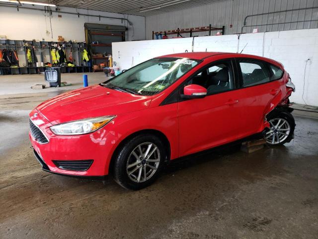 FORD FOCUS 2016 1fadp3k20gl271426