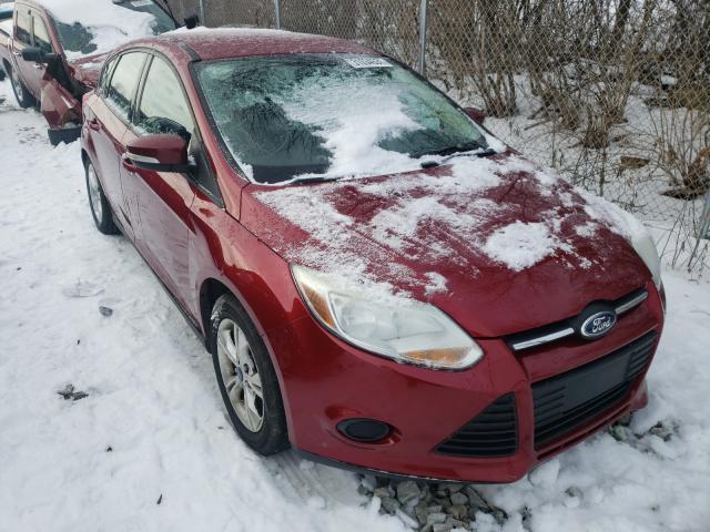 FORD FOCUS SE 2014 1fadp3k21el309517