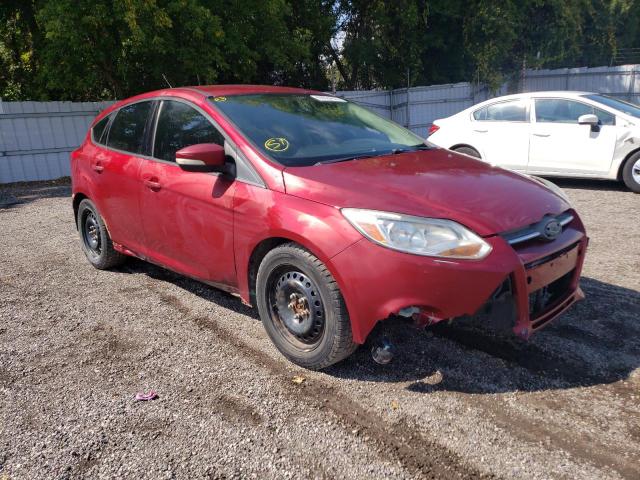 FORD FOCUS SE 2014 1fadp3k22el385702