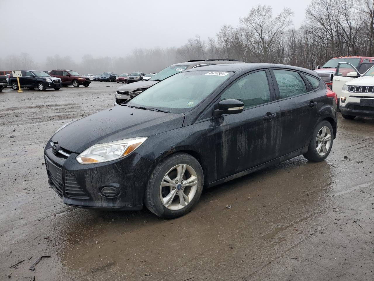 FORD FOCUS 2013 1fadp3k23dl130491