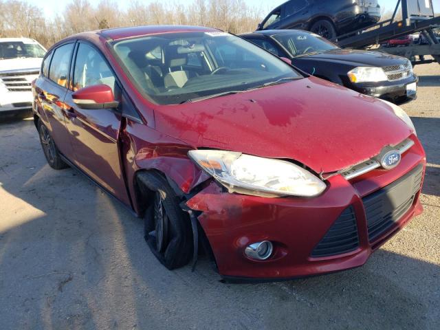 FORD FOCUS SE 2014 1fadp3k23el286208