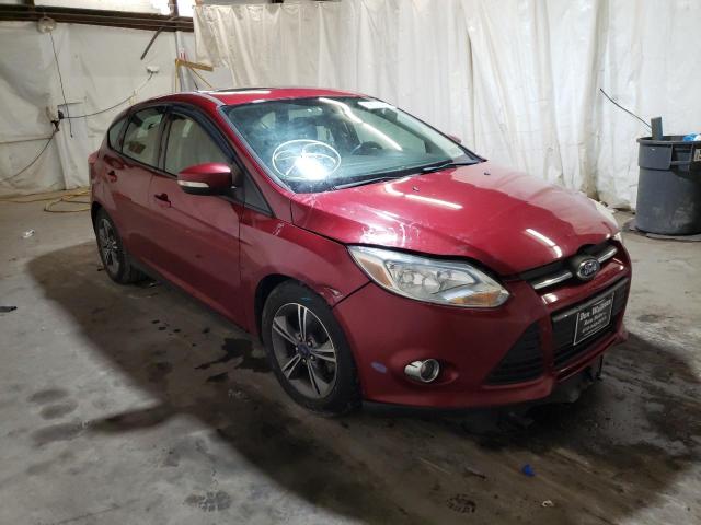 FORD FOCUS SE 2014 1fadp3k23el395638