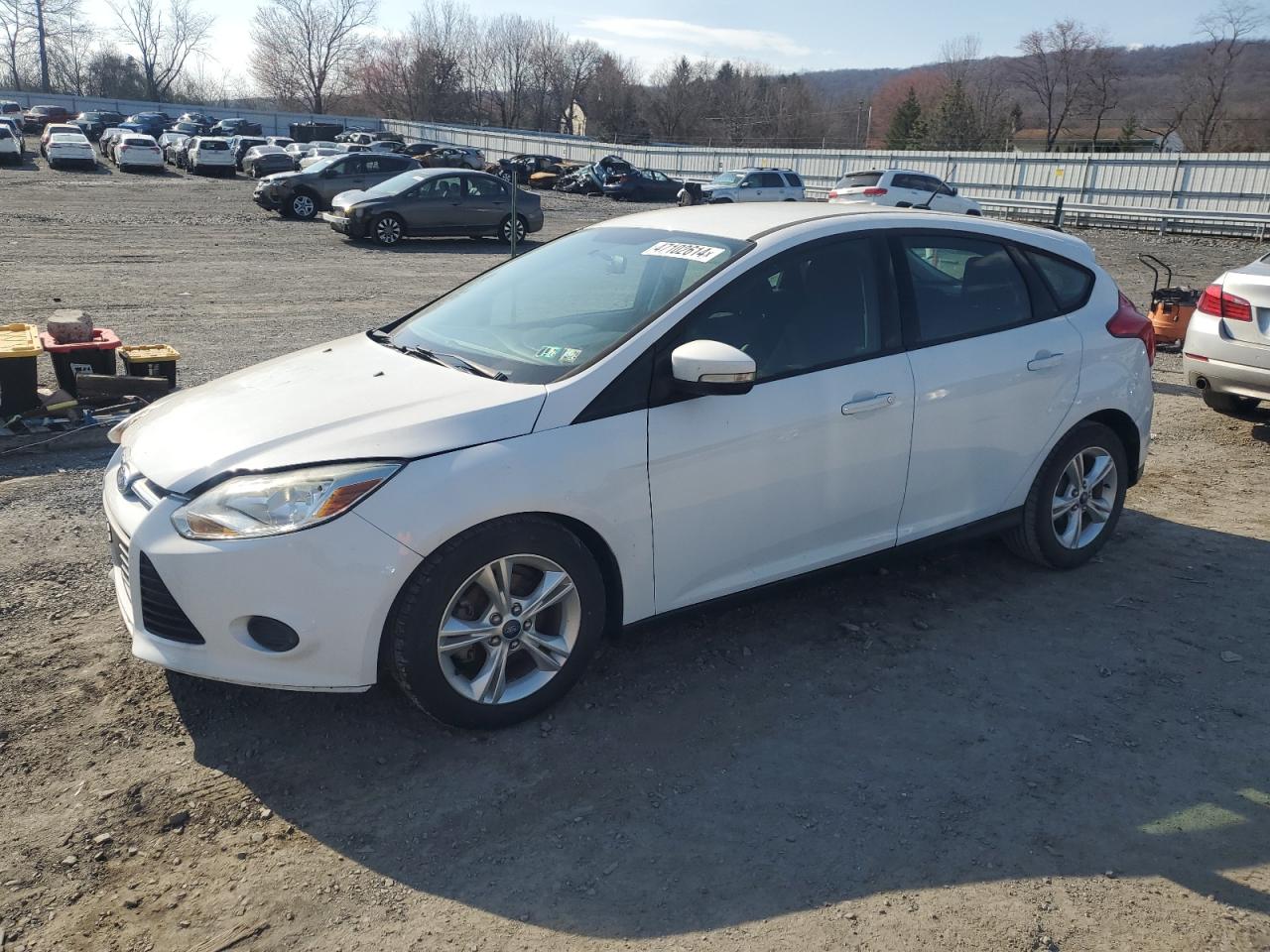 FORD FOCUS 2014 1fadp3k24el102572