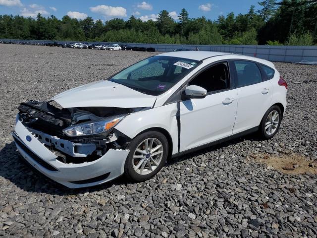 FORD FOCUS SE 2017 1fadp3k24hl335341