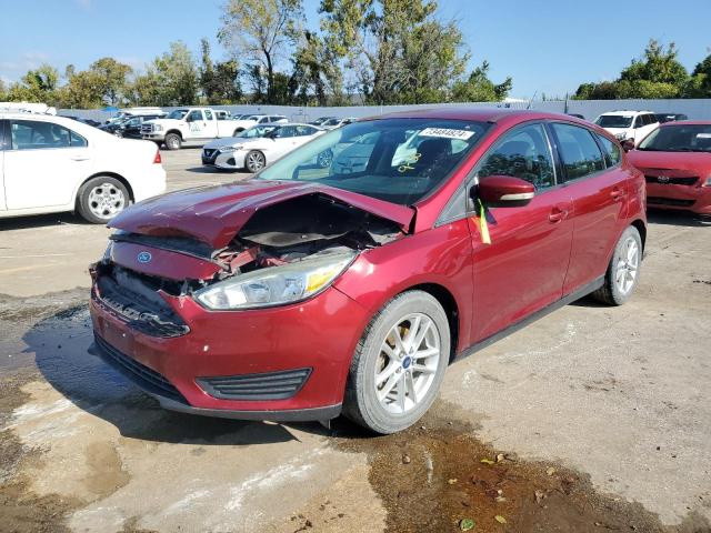 FORD FOCUS SE 2015 1fadp3k25fl231244