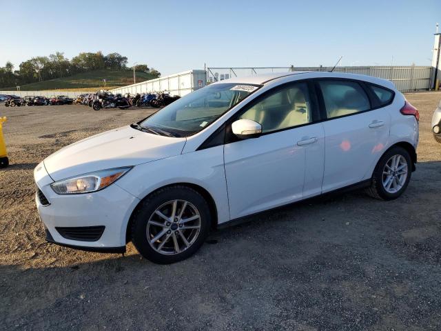 FORD FOCUS SE 2015 1fadp3k25fl250649