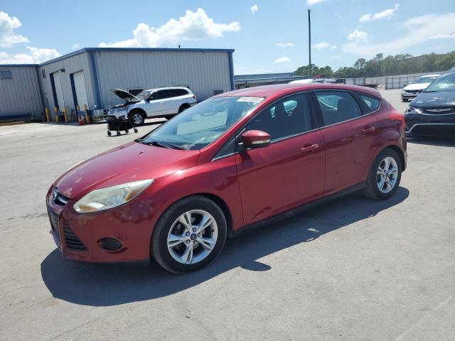 FORD FOCUS SE 2014 1fadp3k28el368662