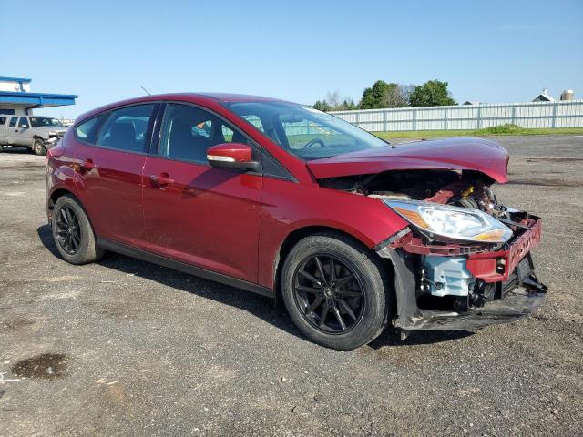 FORD FOCUS SE 2013 1fadp3k29dl122024