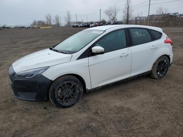 FORD FOCUS 2016 1fadp3k29gl303581