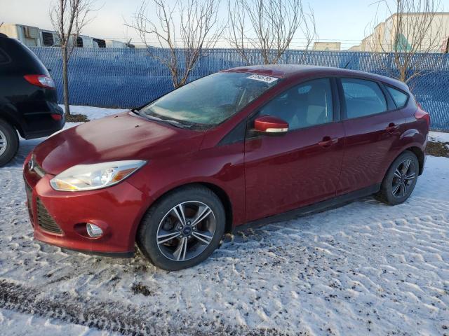 FORD FOCUS SE 2014 1fadp3k2xel328776