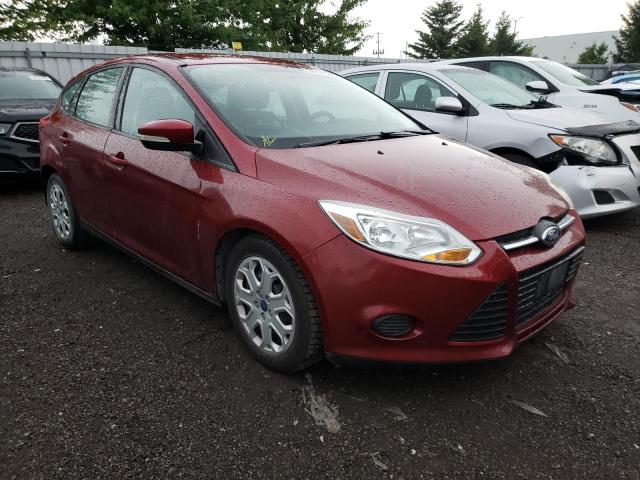 FORD FOCUS SE 2014 1fadp3k2xel365276