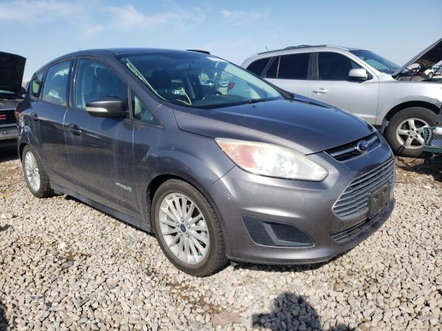 FORD C-MAX SE 2014 1fadp5au1el501499