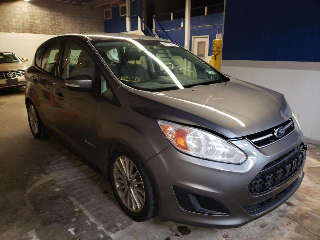 FORD C-MAX SE 2014 1fadp5au8el502911