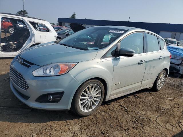 FORD C-MAX SEL 2014 1fadp5bu7el517527