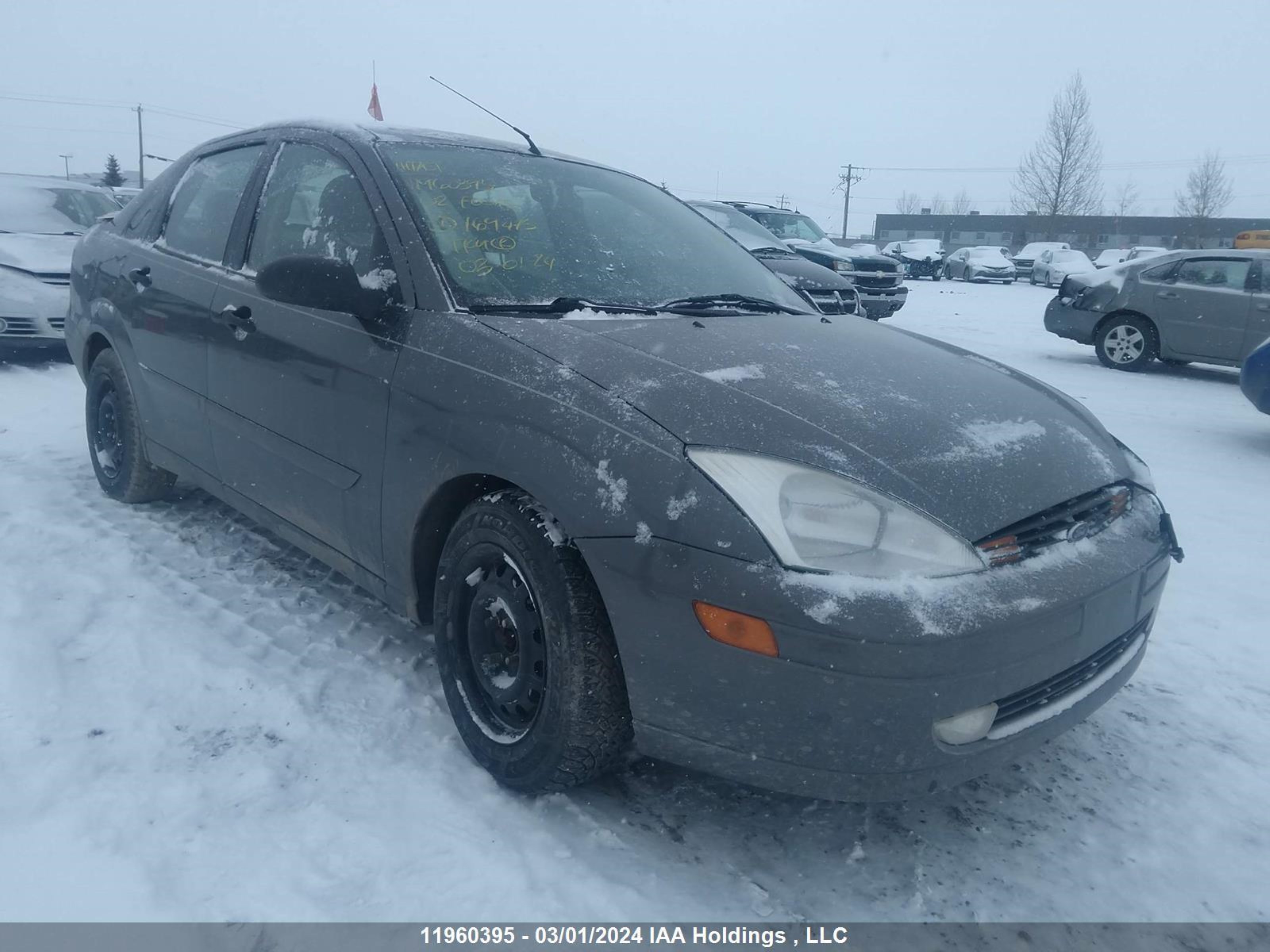 FORD FOCUS 2002 1fafp343x2w169475