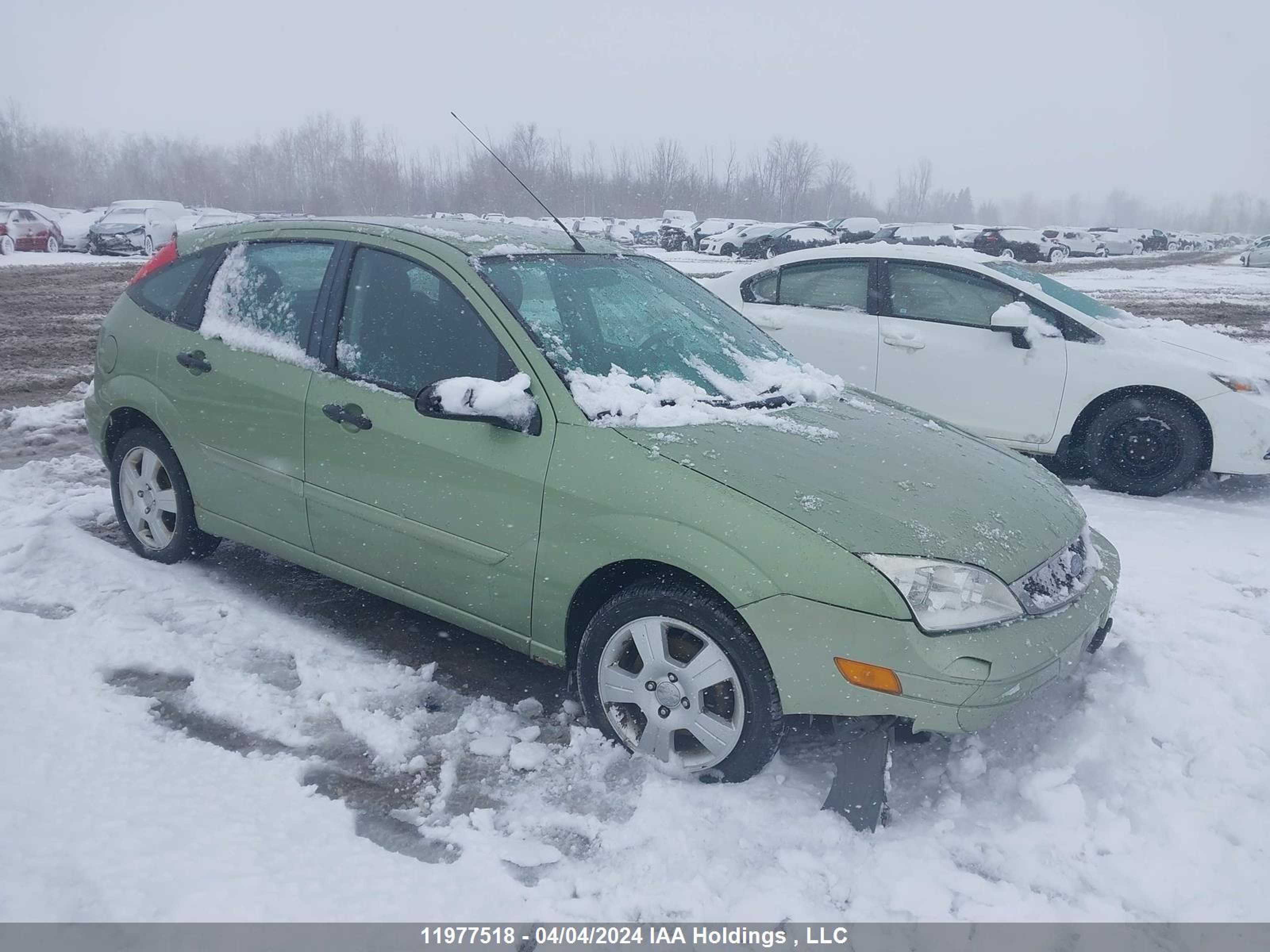 FORD FOCUS 2007 1fafp37n17w110495